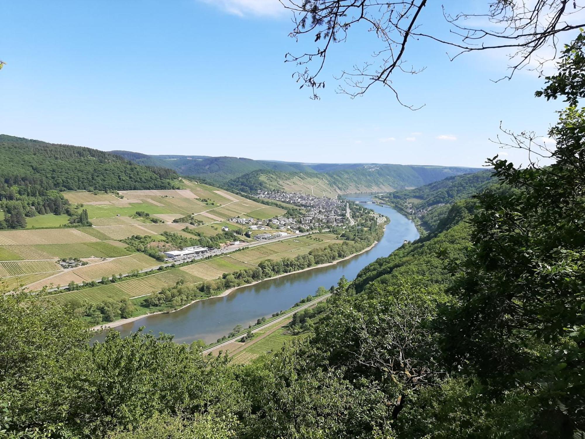 Residenz Moselstausee Sankt Aldegund Exteriér fotografie