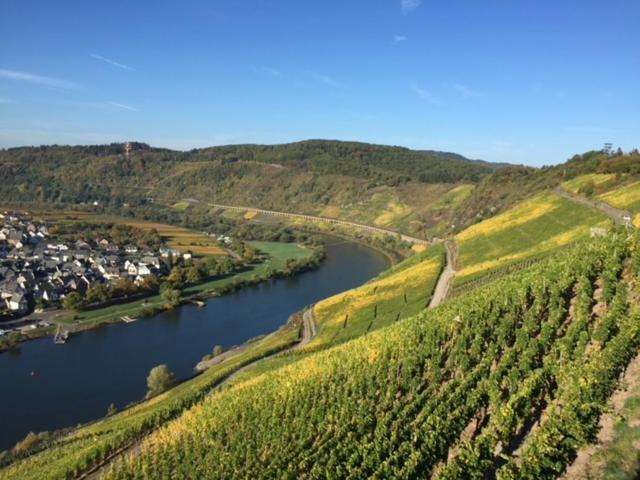 Residenz Moselstausee Sankt Aldegund Exteriér fotografie