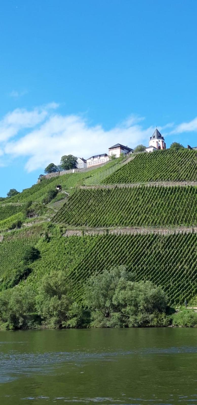 Residenz Moselstausee Sankt Aldegund Exteriér fotografie