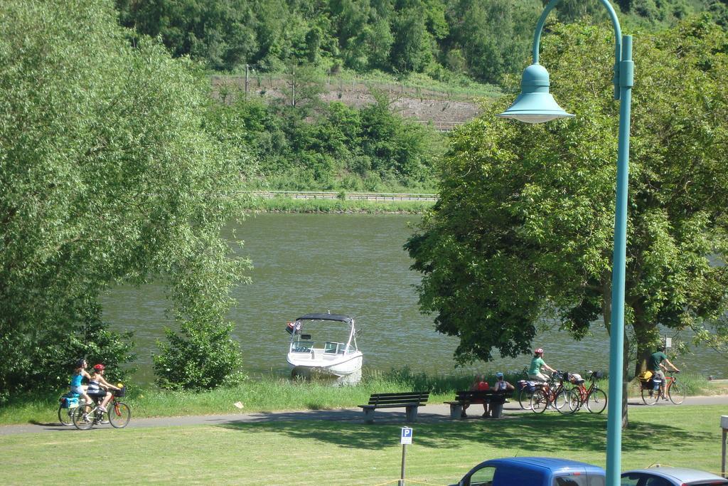 Residenz Moselstausee Sankt Aldegund Exteriér fotografie