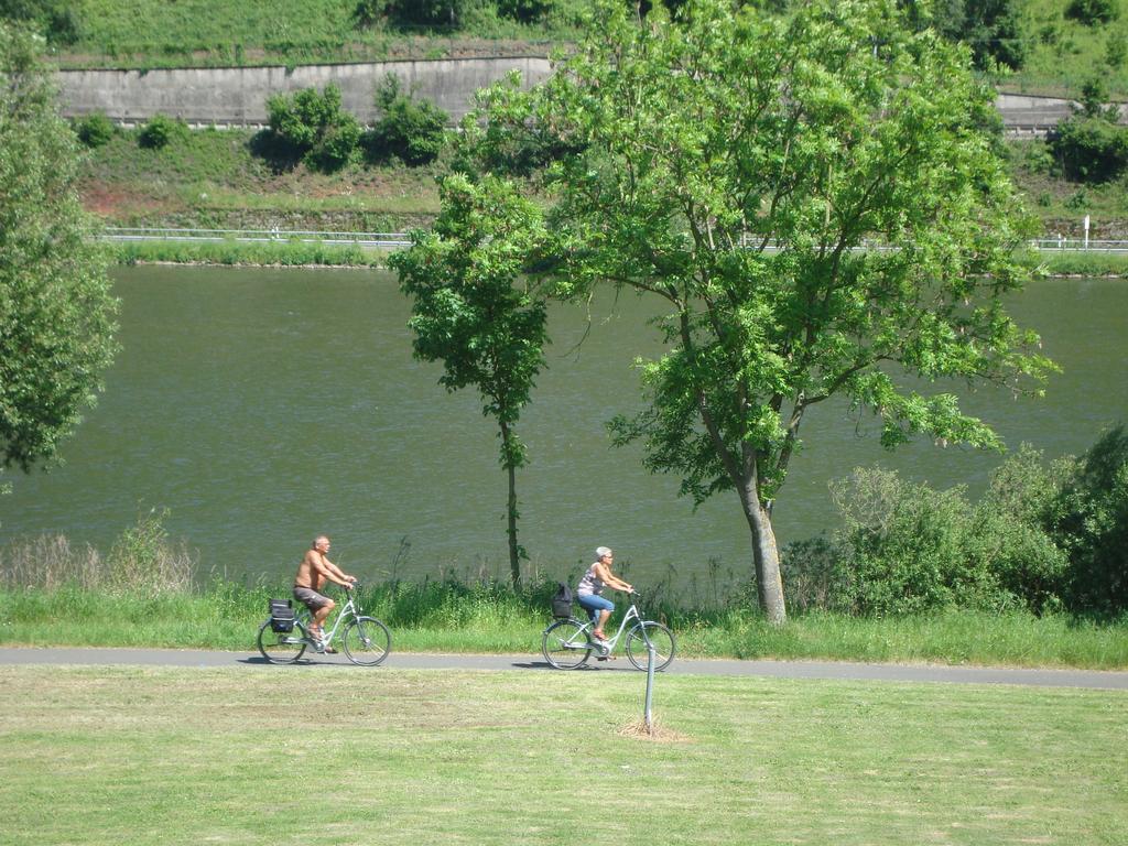 Residenz Moselstausee Sankt Aldegund Exteriér fotografie