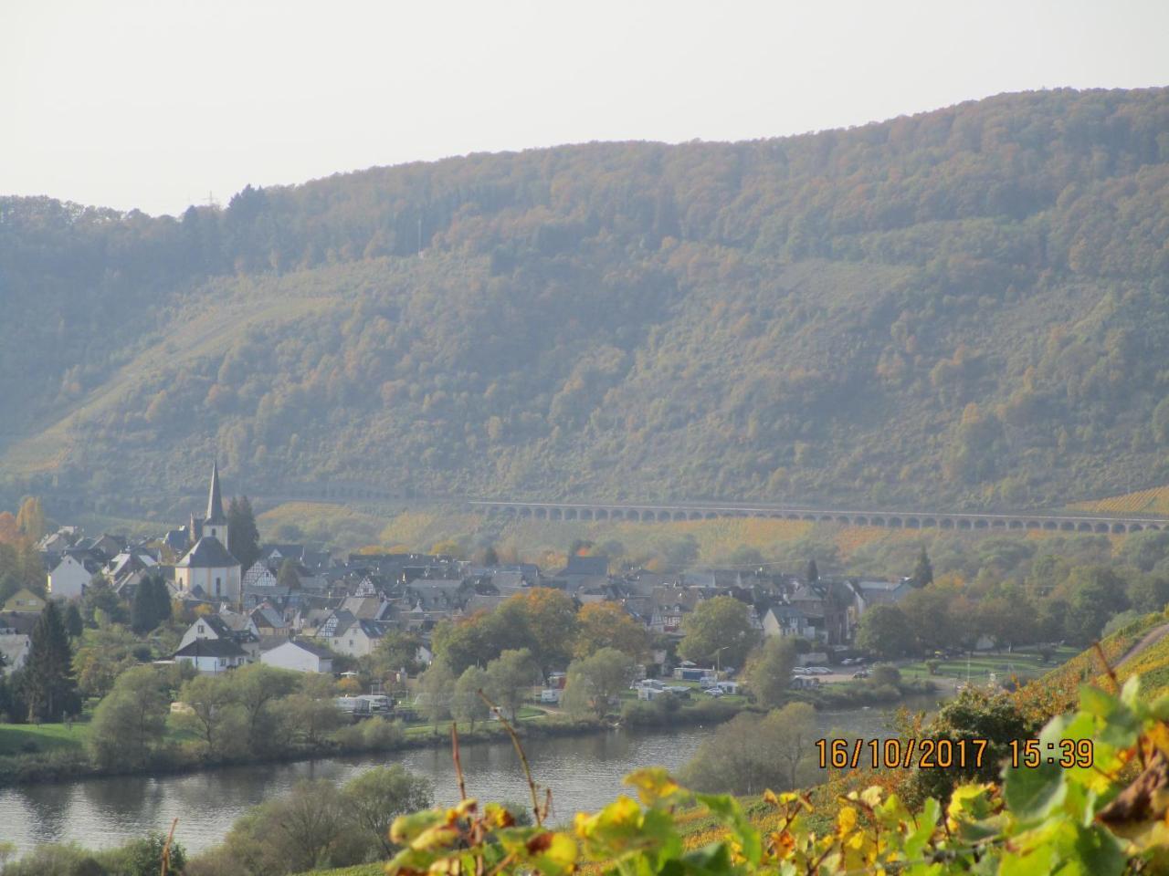 Residenz Moselstausee Sankt Aldegund Exteriér fotografie